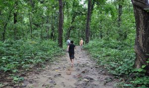 Barefoot trail